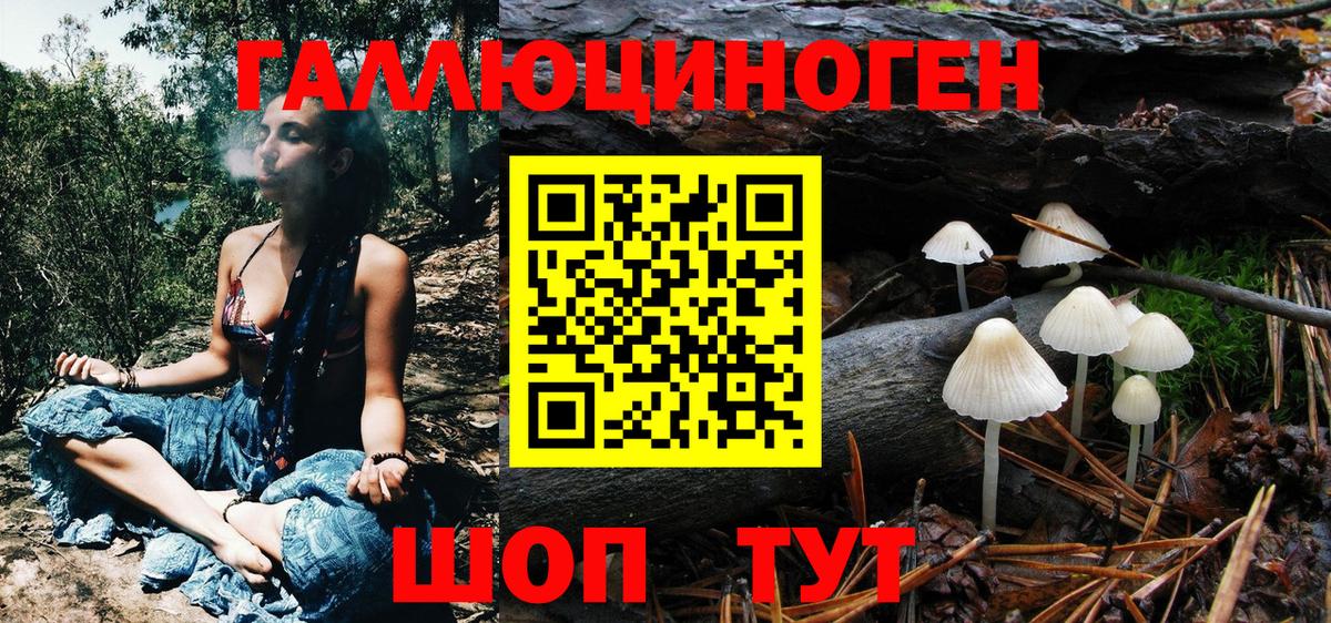 Анапа  Псилоцибиновые грибы мицелий  Вход с VPN 