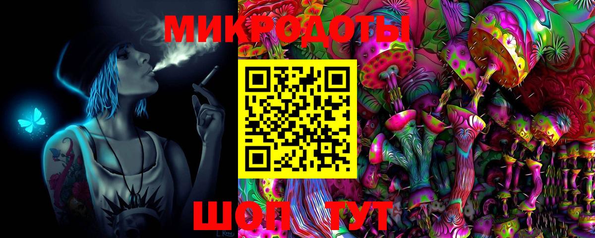Псилоцибиновые грибы Psilocybine cubensis Анапа